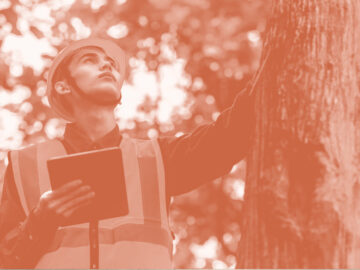 Certificat en Sciences et ingénieries forestières – SIF