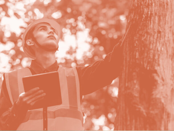 Certificat en Sciences et ingénieries forestières – SIF