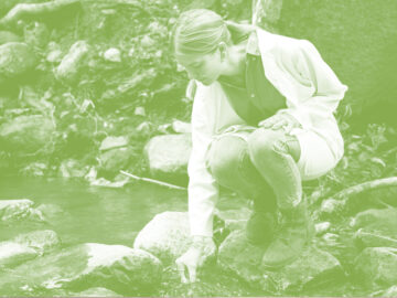Master Biodiversité, écologie et évolution