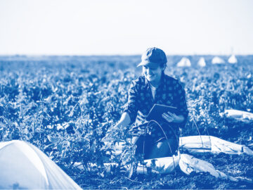 Bachelor Agro – parcours Numérique pour l&rsquo;agriculture
