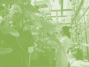 Master Biologie, agrosciences