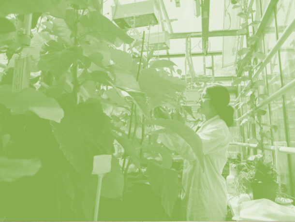 Master Biologie, agrosciences