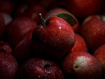 UMR Biologie du Fruit et Pathologie